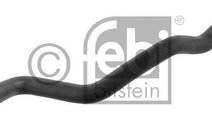 Furtun radiator FIAT DUCATO platou / sasiu (230) (...