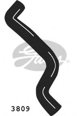 Furtun radiator FORD COURIER (J3, J5) (1996 - 2016) GATES 3809 piesa NOUA