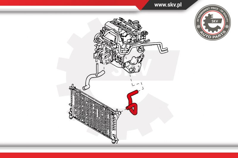 Furtun radiator ; FORD Focus 1.4 1.6 ; 98AB8B274AJ