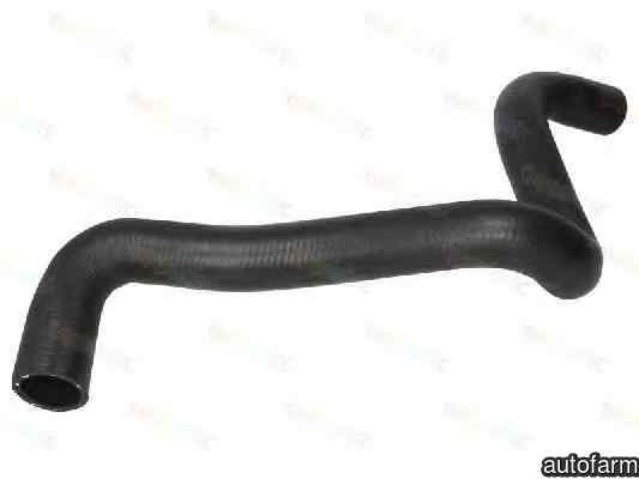 Furtun radiator FORD FOCUS C-MAX Produca