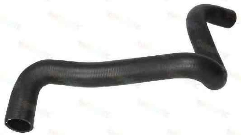 Furtun radiator FORD FOCUS C-MAX Producator THERMOTEC DWG012TT