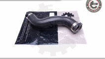 Furtun radiator ; MERCEDES-BENZ E-Class (W212) ; 2...