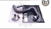 Furtun radiator ; MERCEDES C-Class (W204) E-Class ...