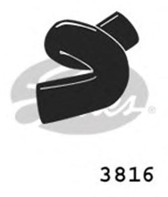 Furtun radiator OPEL ASTRA F Hatchback (53, 54, 58, 59) (1991 - 1998) GATES 3816 piesa NOUA