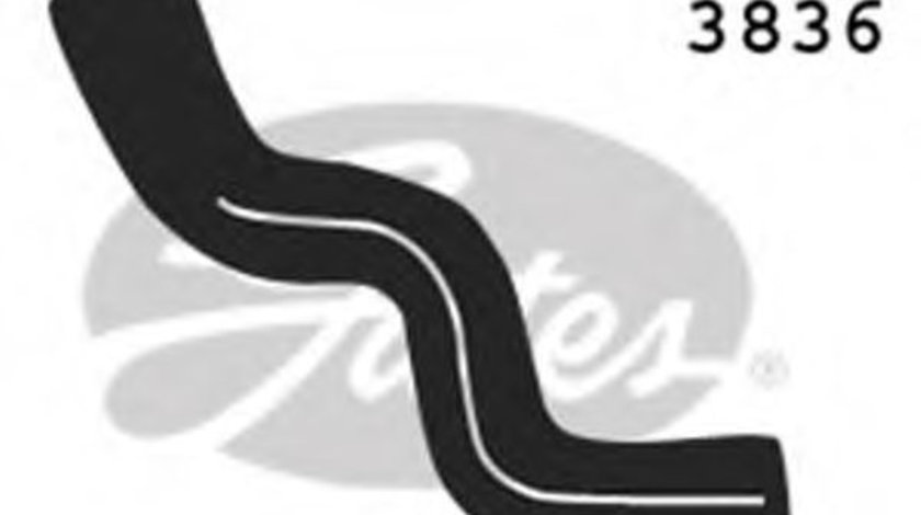 Furtun radiator PEUGEOT PARTNER caroserie (5) (1996 - 2012) GATES 3836 piesa NOUA