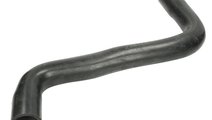 Furtun radiator RENAULT MEGANE II Estate (KM0/1_) ...