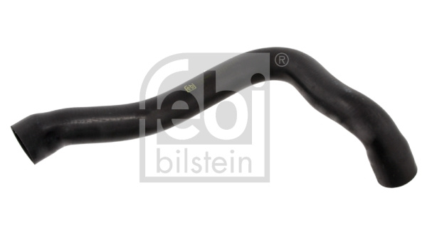 Furtun radiator superior dreapta (28617 FEBI BILSTEIN) BMW