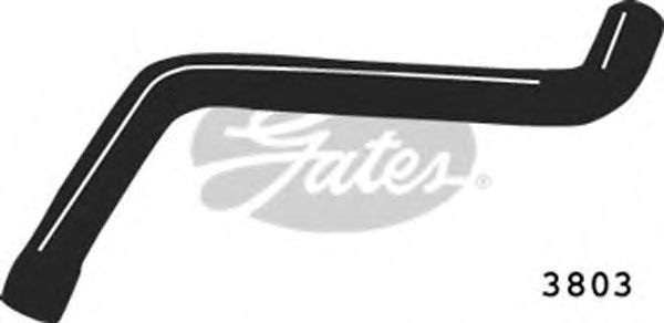 Furtun radiator VW GOLF IV Variant (1J5) (1999 - 2006) GATES 3803 piesa NOUA