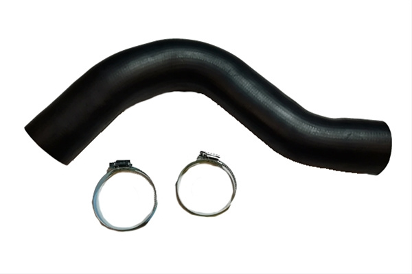 Furtun Supraalimentare Bugiad Toyota 81881
