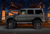 G63 Black Bison