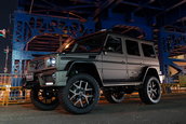 G63 Black Bison