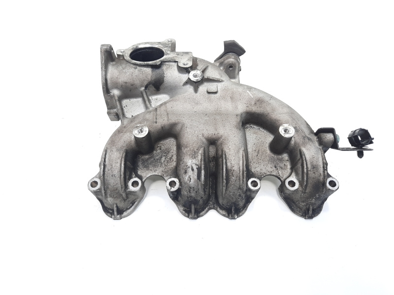Galerie admisie, cod 038129713BM, Audi A4 Avant (8ED, B7) 1.9 TDI, BRB (pr:110747)