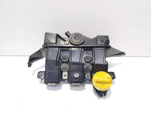 Galerie admisie, cod 118305906R, Renault Grand Scenic 3, 1.6 DCI, R9M402 (id:641601)