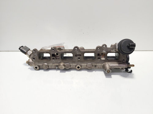 Galerie admisie cu clapete, cod GK00266, Vw Golf 5 (1K1) 1.6 FSI, BLF (idi:627191)