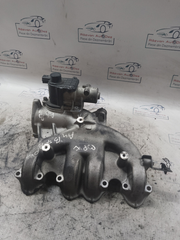 Galerie Admisie Fonta Audi A4 B7 2008, 038129713BM