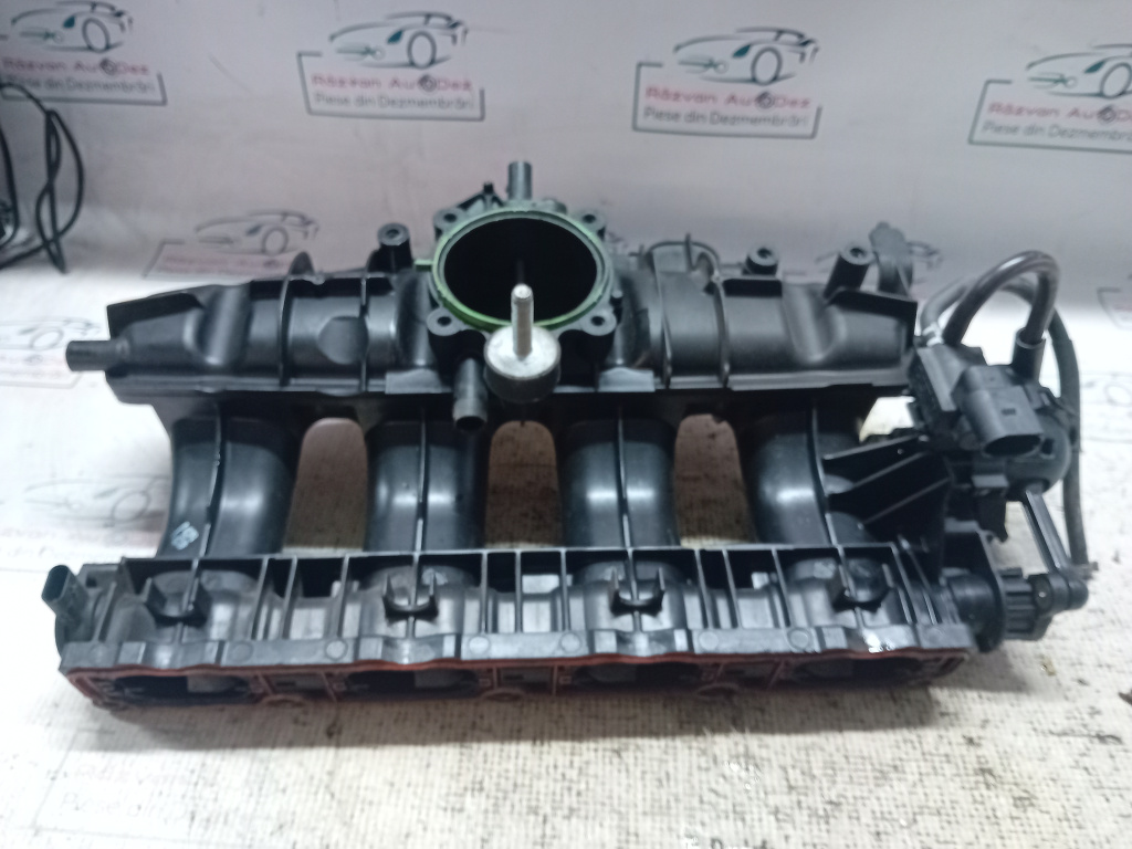 Galerie Admisie Plastic Audi A5 2.0 Benzina 2012