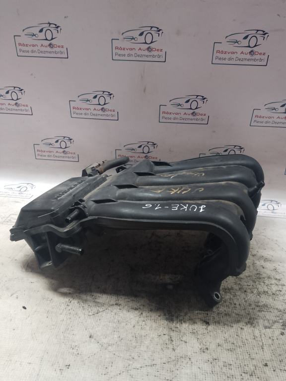 Galerie Admisie Plastic Nissan Juke 1.6 2011