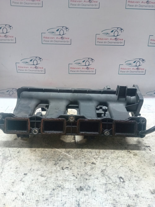 Galerie Admisie Plastic Nissan Pulsar 1.2