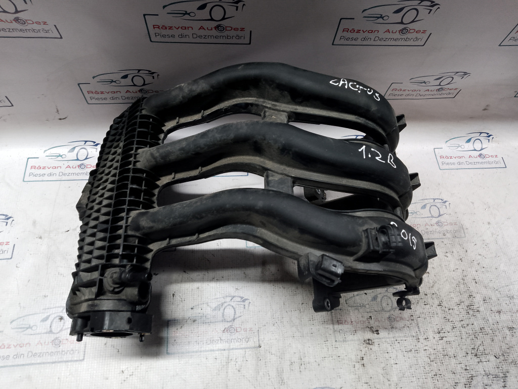 Galerie Admisie Plastic Peugeot 2008 1.2 Benzina 2016, 9673063980
