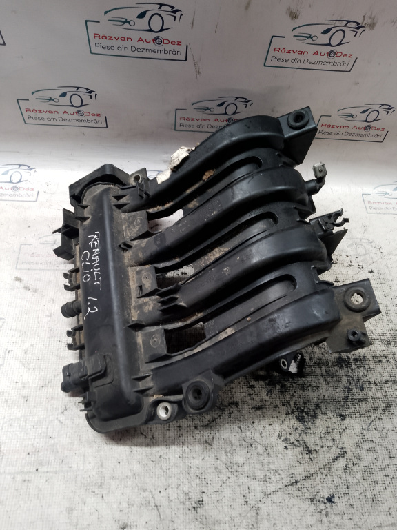 Galerie Admisie Plastic Renault Clio 1.2 2006, 8200880099