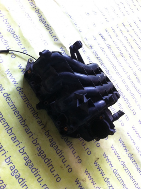 Galerie admisie Seat Leon [1999 - 2005] Hatchback 1.4 MT (75 hp) (1M1) 16V