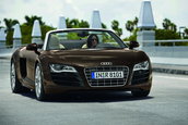 Galerie Foto: Audi R8 Spyder pozeaza topless