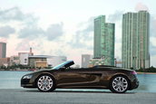 Galerie Foto: Audi R8 Spyder pozeaza topless