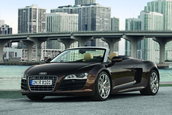 Galerie Foto: Audi R8 Spyder pozeaza topless