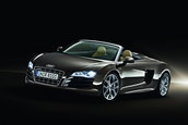 Galerie Foto: Audi R8 Spyder pozeaza topless