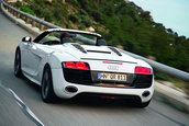 Galerie Foto: Audi R8 Spyder pozeaza topless