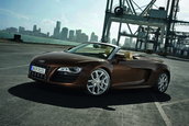 Galerie Foto: Audi R8 Spyder pozeaza topless