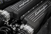 Galerie Foto: Gallardo LP570-4 Superleggera is the... bull!