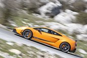 Galerie Foto: Gallardo LP570-4 Superleggera is the... bull!