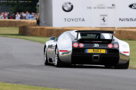 Galerie Foto: Goodwood Festival of Speed 2009