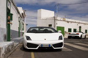 Gallardo LP560-4 Spyder debuteaza la Los Angeles Auto Show