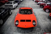 Garajul perfect - versiunea Elite Garage