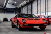 Garajul perfect - versiunea Elite Garage