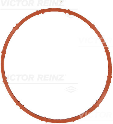 Garnitura (711526800 VICTOR REINZ)