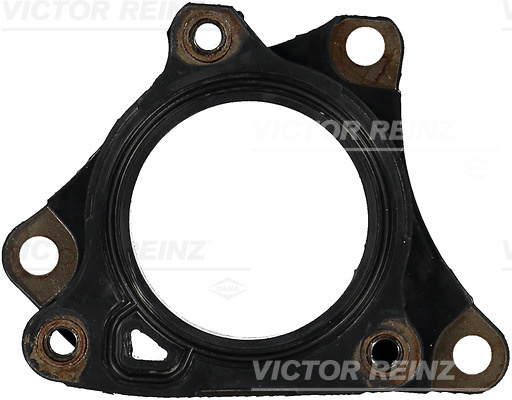 Garnitura (711656300 VICTOR REINZ)