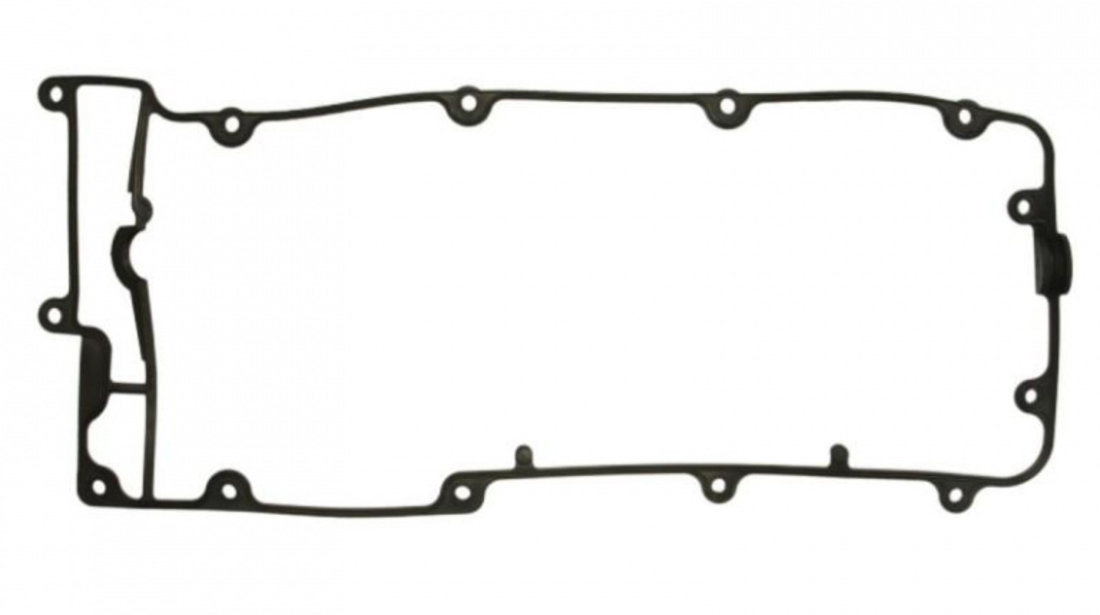 Garnitura capac chiulasa Land Rover DISCOVERY Mk II (LJ, LT) 1998-2004 #2 11096500