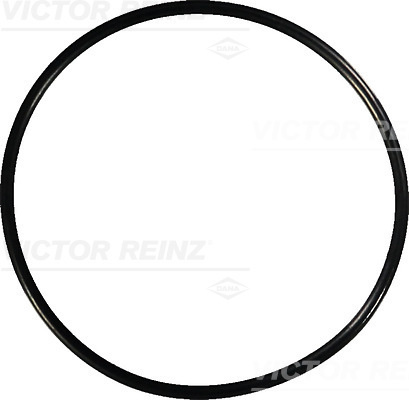 Garnitura, capac supape (407674100 REI) RENAULT