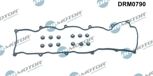 Garnitura, capac supape (DRM0790 DRM) FORD,MAZDA