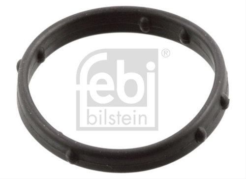 Garnitura Capac Supape Febi Audi 101006