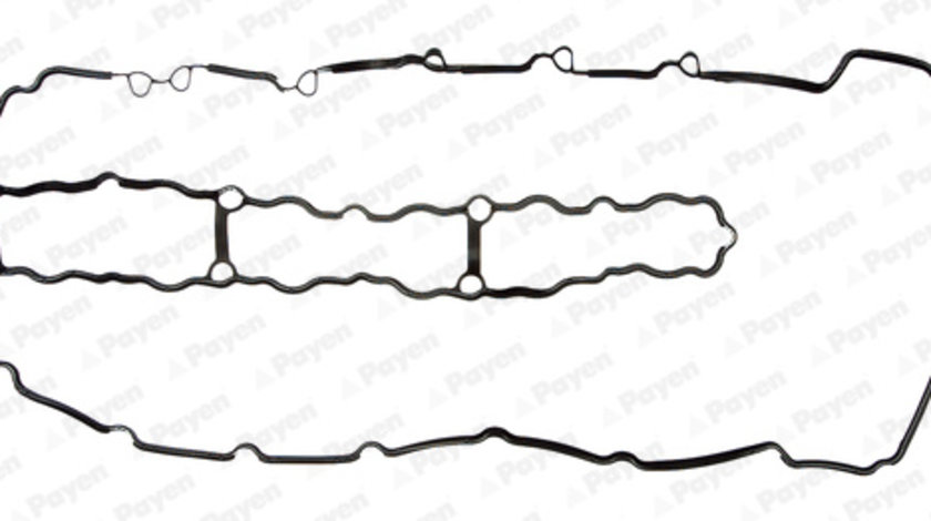 Garnitura, capac supape (JM7098 PAYEN) BMW,MORGAN