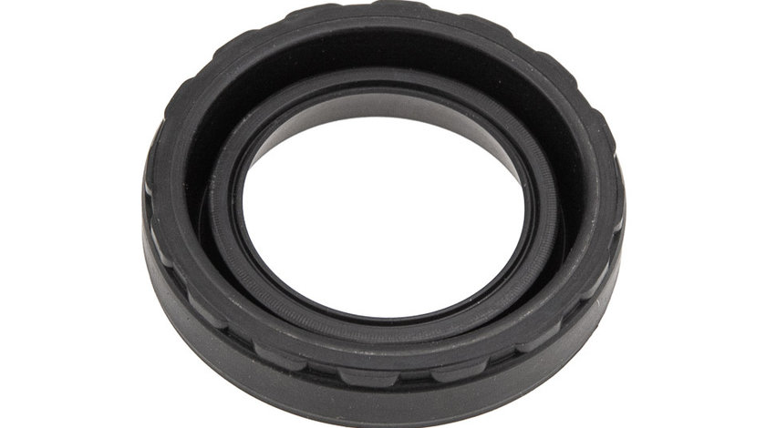 GARNITURA CAPAC SUPAPE, NISSAN PRIMERA 96-07, ALMERA 00-06, ALMERA TINO 00-05, X-TRAIL 01-13