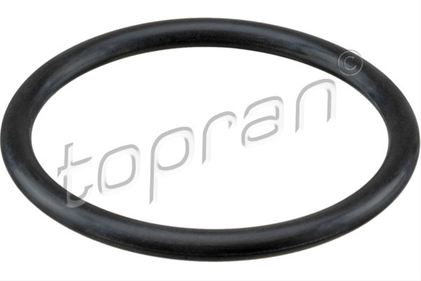 Garnitura, Carcasa Filtru Aer Topran Vw 113 884