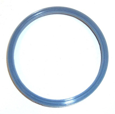 Garnitura, Carcasa galerie admisie (575500 ELR) FORD,FORD AUSTRALIA,LDV,LTI