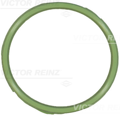 Garnitura, Carcasa galerie admisie (711833900 VICTOR REINZ) AUDI