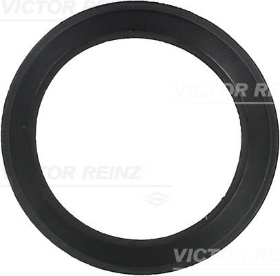 Garnitura, Carcasa galerie admisie (713606100 REI) AUDI,SEAT,SKODA,VW,VW (FAW),VW (SVW)