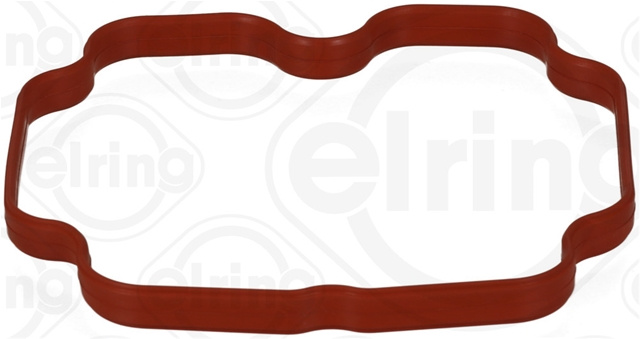 Garnitura, Carcasa Galerie Admisie Elring Bmw 266.270